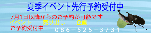 先行予約